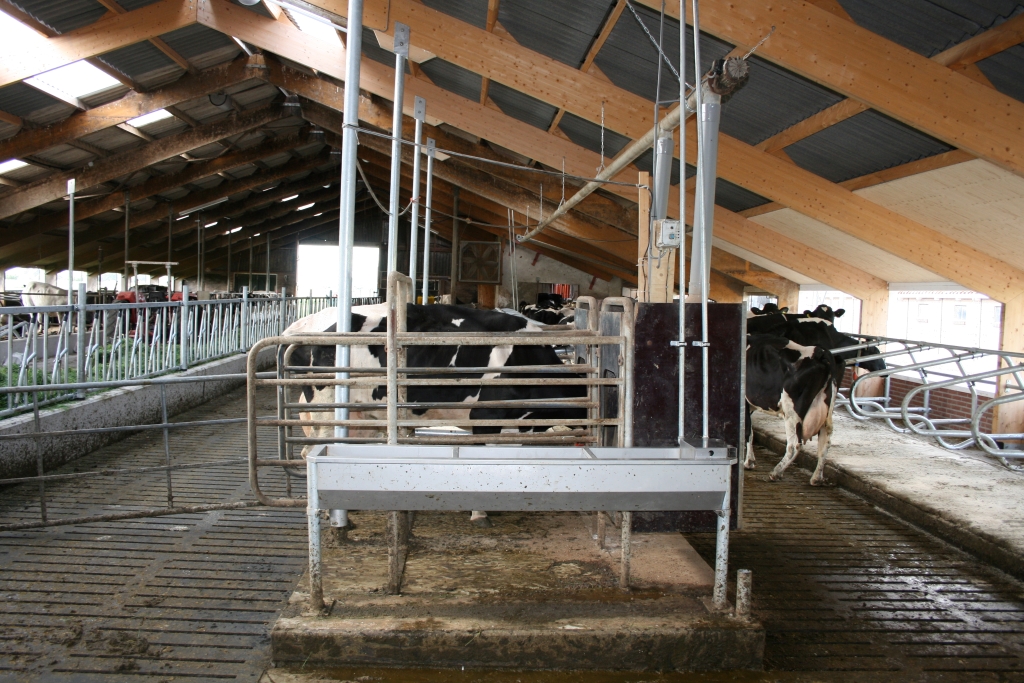 stalventilatie installatie - Neede boeren